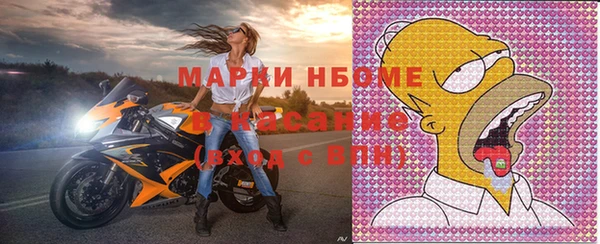 шишки Абаза