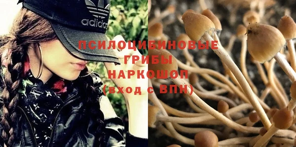 a pvp Алзамай