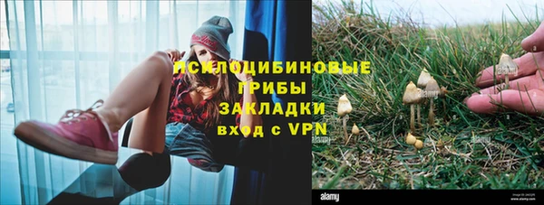 ALPHA-PVP Алексеевка