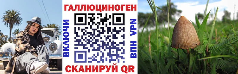 где найти наркотики Топки KRAKEN ссылка Псилоцибиновые грибы ЛСД